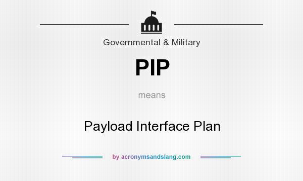 What does PIP mean? It stands for Payload Interface Plan