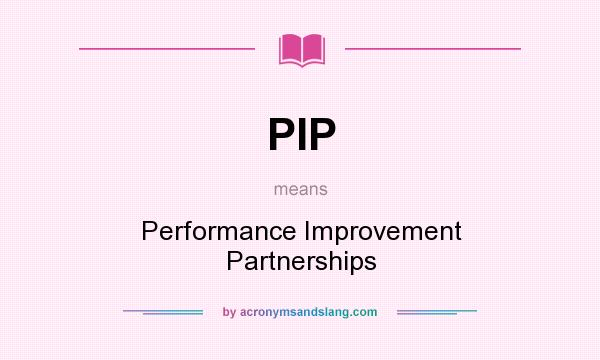 What does PIP mean? It stands for Performance Improvement Partnerships