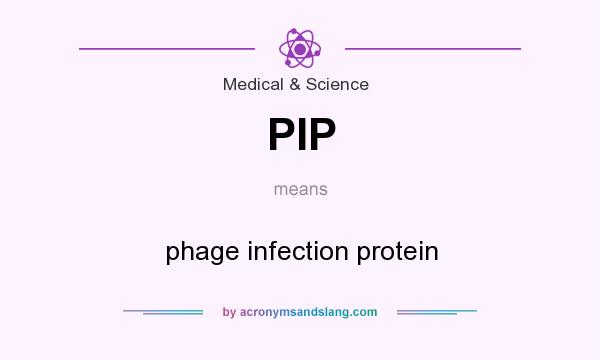 What does PIP mean? It stands for phage infection protein
