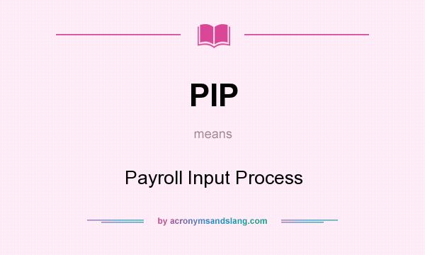 What does PIP mean? It stands for Payroll Input Process