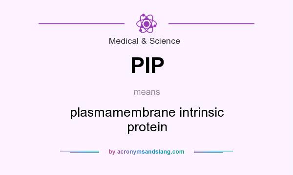What does PIP mean? It stands for plasmamembrane intrinsic protein