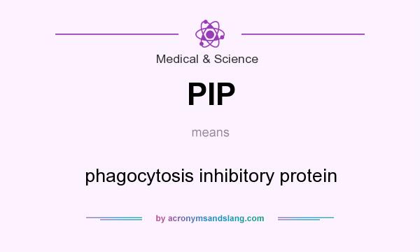 What does PIP mean? It stands for phagocytosis inhibitory protein