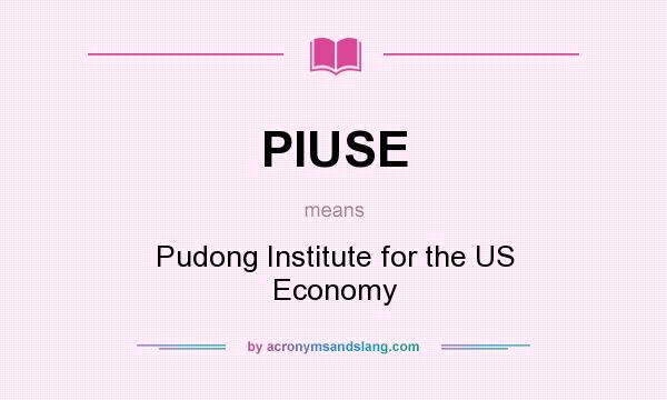 What does PIUSE mean? It stands for Pudong Institute for the US Economy
