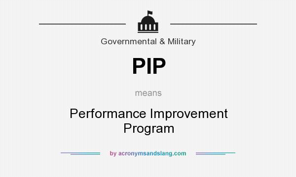 What does PIP mean? It stands for Performance Improvement Program