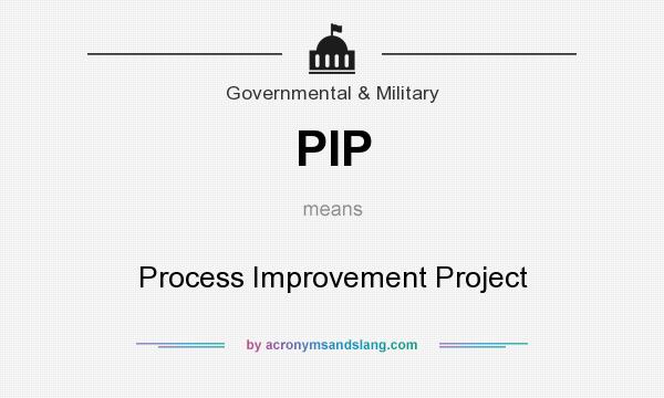What does PIP mean? It stands for Process Improvement Project