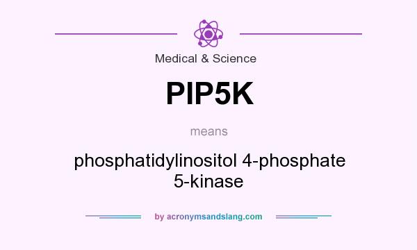 What does PIP5K mean? It stands for phosphatidylinositol 4-phosphate 5-kinase