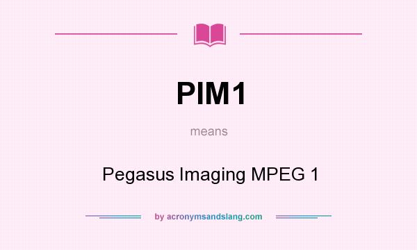 What does PIM1 mean? It stands for Pegasus Imaging MPEG 1