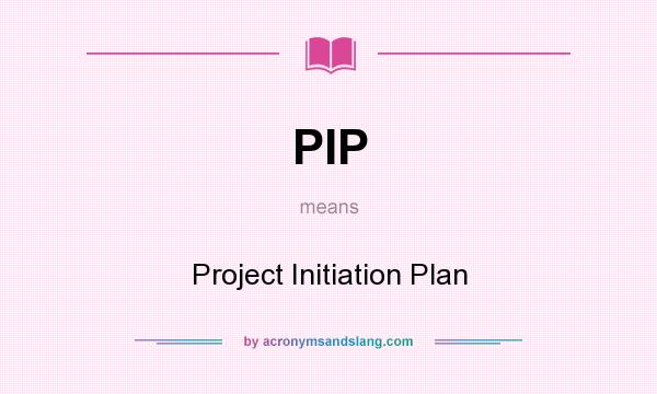 What does PIP mean? It stands for Project Initiation Plan