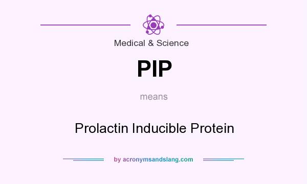 What does PIP mean? It stands for Prolactin Inducible Protein