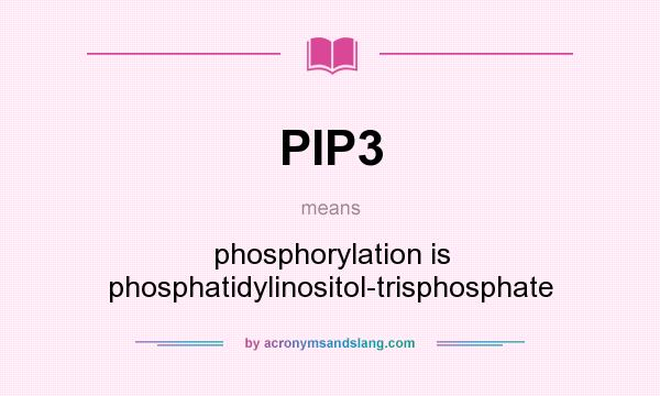 What does PIP3 mean? It stands for phosphorylation is phosphatidylinositol-trisphosphate
