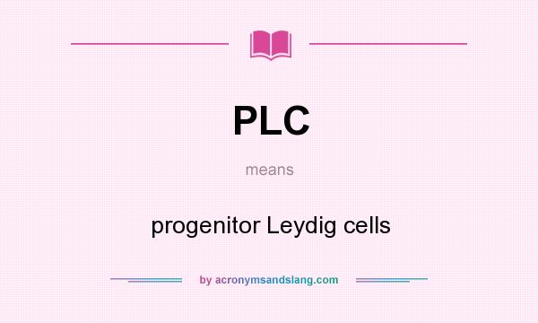 What does PLC mean? It stands for progenitor Leydig cells