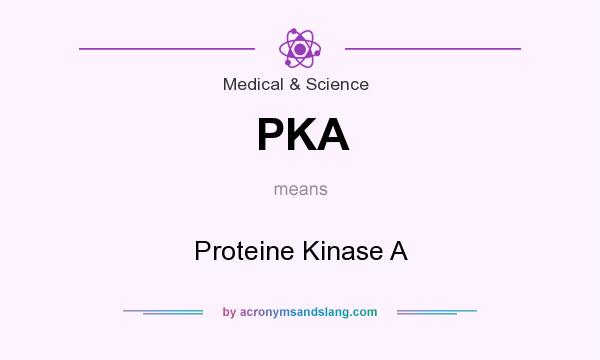 What does PKA mean? It stands for Proteine Kinase A