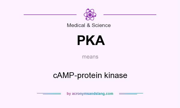 What does PKA mean? It stands for cAMP-protein kinase