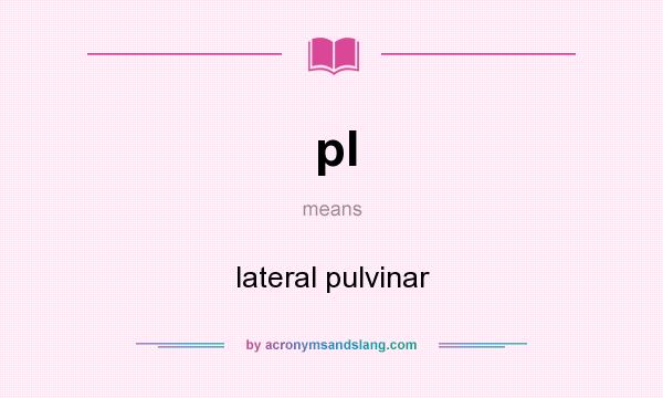 What does pl mean? It stands for lateral pulvinar