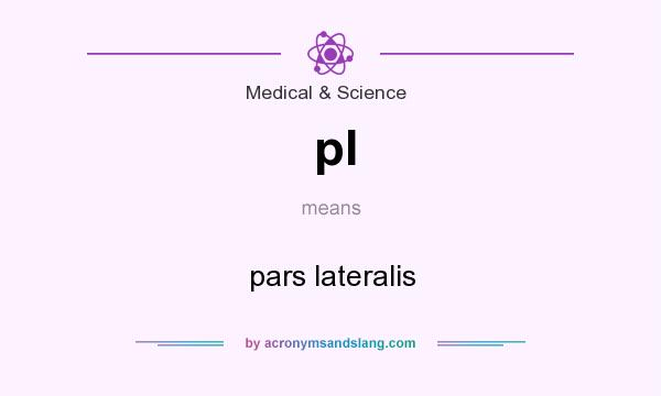 What does pl mean? It stands for pars lateralis