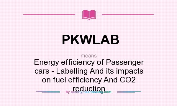What does PKWLAB mean? It stands for Energy efficiency of Passenger cars - Labelling And its impacts on fuel efficiency And CO2 reduction