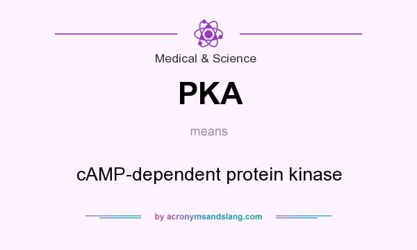 What does PKA mean? It stands for cAMP-dependent protein kinase