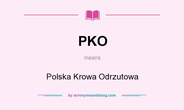 What does PKO mean? It stands for Polska Krowa Odrzutowa