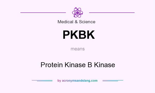 What does PKBK mean? It stands for Protein Kinase B Kinase