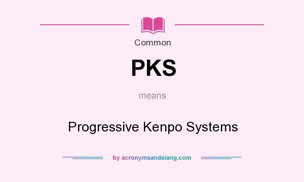 What does PKS mean? It stands for Progressive Kenpo Systems