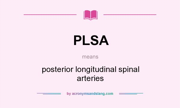 What does PLSA mean? It stands for posterior longitudinal spinal arteries