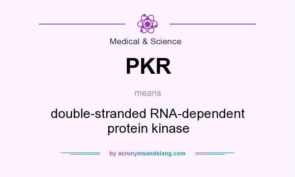 What does PKR mean? It stands for double-stranded RNA-dependent protein kinase