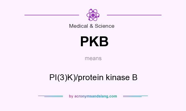 What does PKB mean? It stands for PI(3)K)/protein kinase B