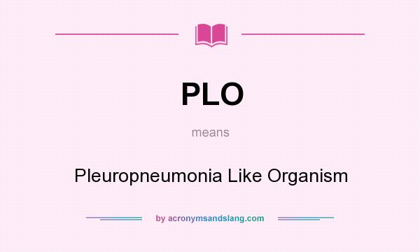 What does PLO mean? It stands for Pleuropneumonia Like Organism