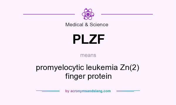 What does PLZF mean? It stands for promyelocytic leukemia Zn(2)  finger protein