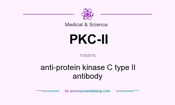 What does PKC-II mean? It stands for anti-protein kinase C type II antibody