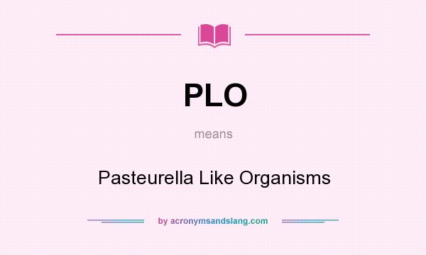 What does PLO mean? It stands for Pasteurella Like Organisms