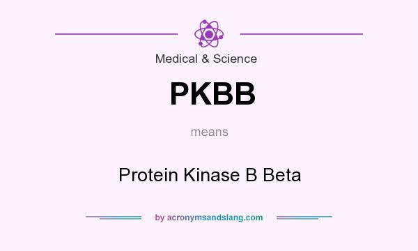 What does PKBB mean? It stands for Protein Kinase B Beta