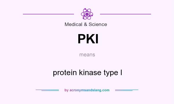 What does PKI mean? It stands for protein kinase type I