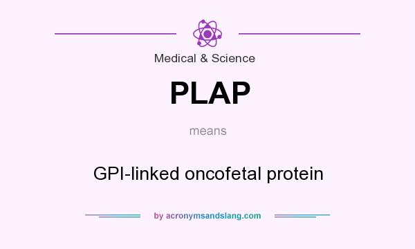 What does PLAP mean? It stands for GPI-linked oncofetal protein