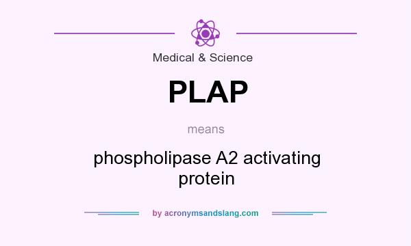 What does PLAP mean? It stands for phospholipase A2 activating protein