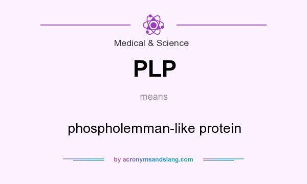 What does PLP mean? It stands for phospholemman-like protein