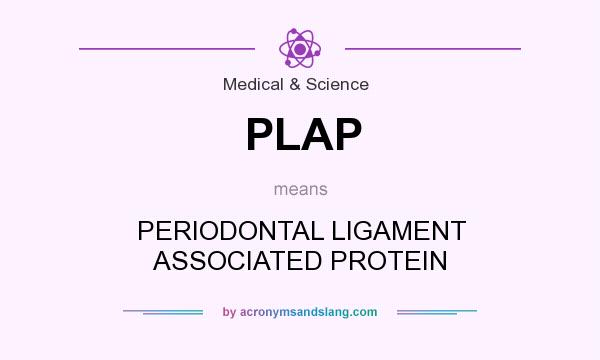 What does PLAP mean? It stands for PERIODONTAL LIGAMENT ASSOCIATED PROTEIN