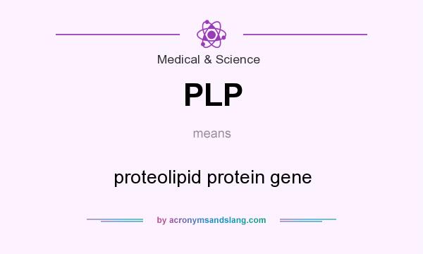 What does PLP mean? It stands for proteolipid protein gene