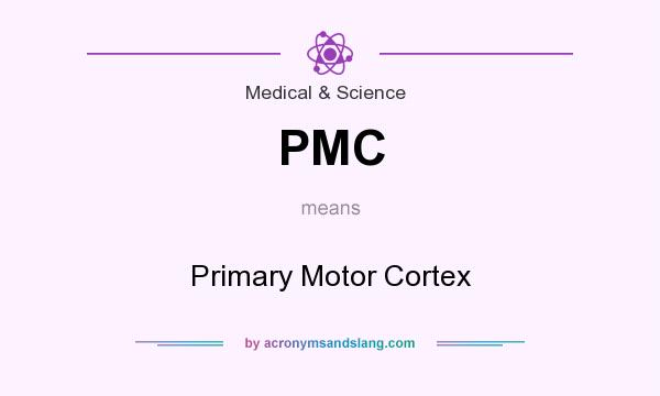 What does PMC mean? It stands for Primary Motor Cortex