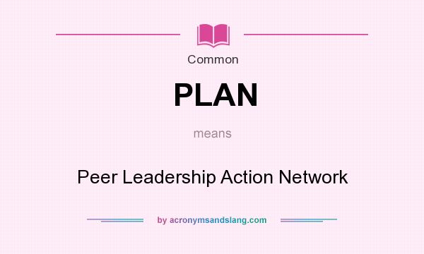 What does PLAN mean? It stands for Peer Leadership Action Network