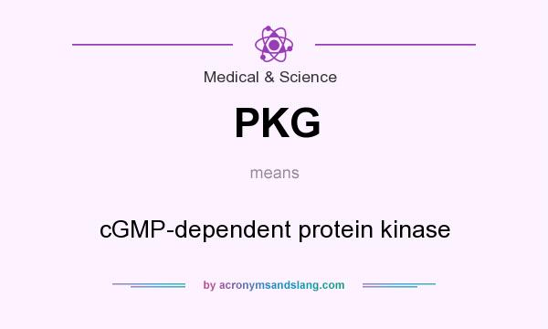 What does PKG mean? It stands for cGMP-dependent protein kinase