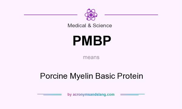 What does PMBP mean? It stands for Porcine Myelin Basic Protein