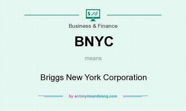 What does BNYC mean? It stands for Briggs New York Corporation