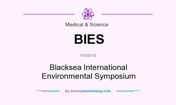 What does BIES mean? It stands for Blacksea International Environmental Symposium