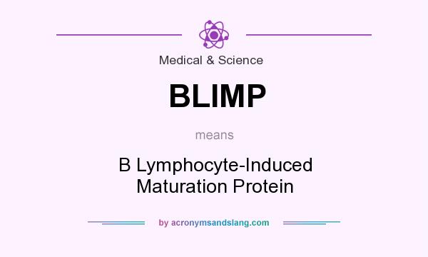 What does BLIMP mean? It stands for B Lymphocyte-Induced Maturation Protein