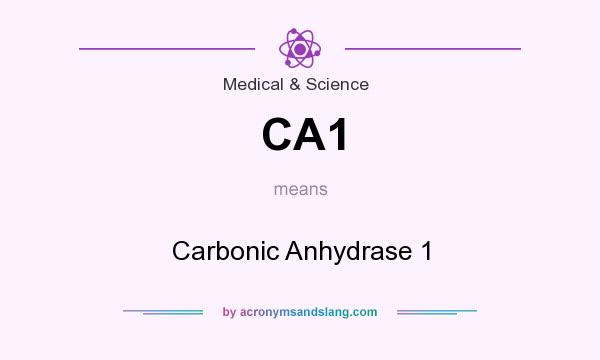What does CA1 mean? It stands for Carbonic Anhydrase 1