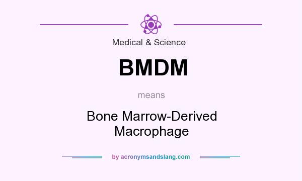 What does BMDM mean? It stands for Bone Marrow-Derived Macrophage