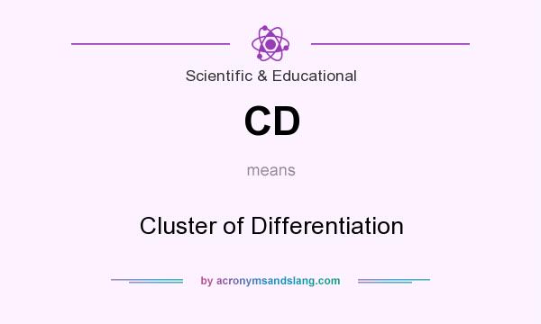 What does CD mean? It stands for Cluster of Differentiation