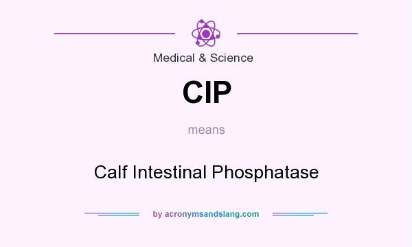 What does CIP mean? It stands for Calf Intestinal Phosphatase