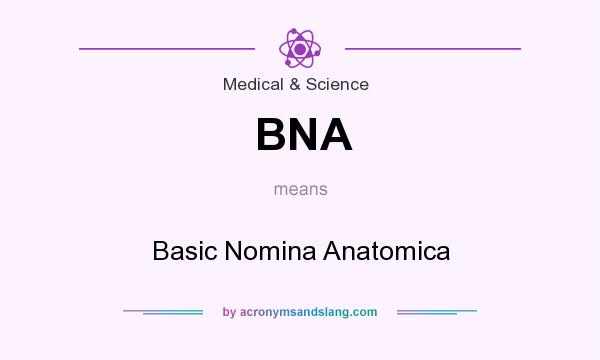 What does BNA mean? It stands for Basic Nomina Anatomica